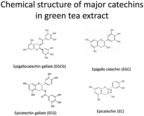 Green Tea Leaves